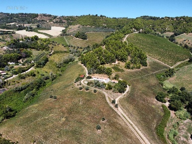 Foto Terreno agricolo in contrada san salvatore, Ripatransone in vendita