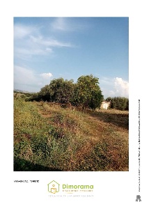 Foto Terreno agricolo in Loc. Burleo, Viterbo Sacrario - Piazza della Rocca