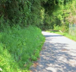 Foto Terreno agricolo in Frazione Buttello, Valgreghentino di 440 m²