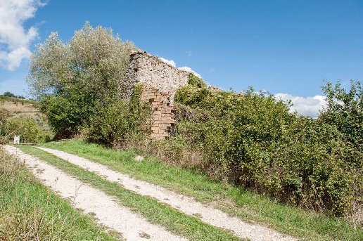 immagine annuncio 3 di 6