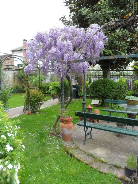 immagine annuncio 10 di 15