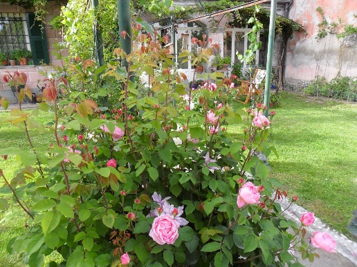 immagine annuncio 11 di 15