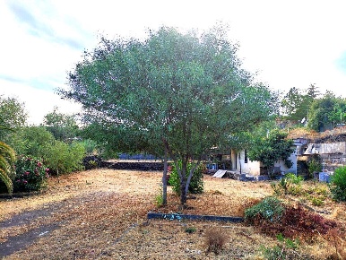 Foto Terreno edificabile in Via Dei Gelsomini 16, Pedara Centro di 1012 m²