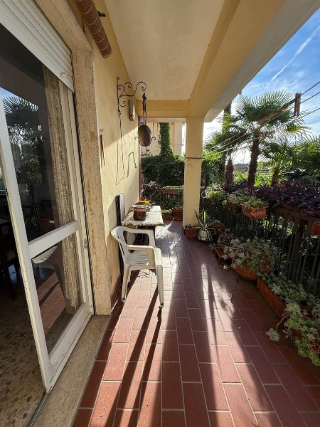 immagine annuncio 7 di 14