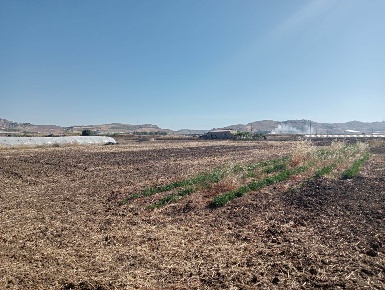 Foto Terreno agricolo a Licata di 20650 m² in vendita