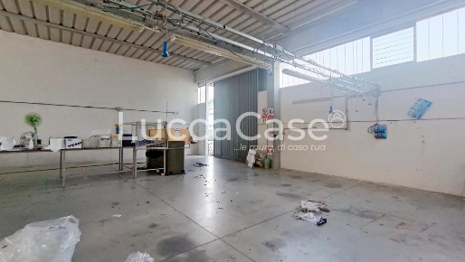Foto Capannone industriale a Lucca Santa Maria a Colle - Ponte San Pietro