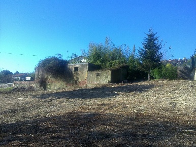 Foto Terreno residenziale a Luni di 7000 m² in vendita