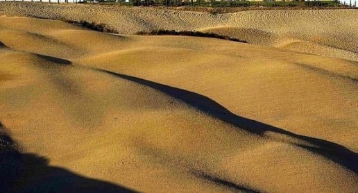 Foto Terreno agricolo a Asciano Centro in vendita
