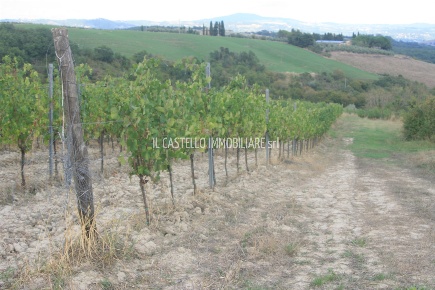 Foto Terreno agricolo a San Casciano dei Bagni di 36000 m² in vendita