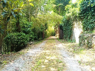 Foto Casa indipendente in Via Nuova, Camaiore Camaiore Paese di 600 m²