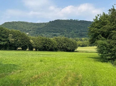 Foto Terreno agricolo in Via Regina Pacis, Castelgomberto di 3500 m²