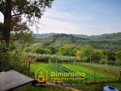 Foto Terreno agricolo in Via Vezzana, Barberino di Mugello di 54494 m²