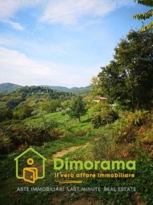 Foto Terreno agricolo in Via Mangona, Barberino di Mugello in vendita