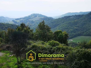 Foto Terreno agricolo in Via Mangona, Barberino di Mugello in vendita