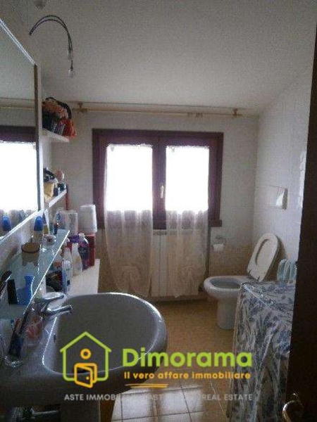 immagine annuncio 5 di 14