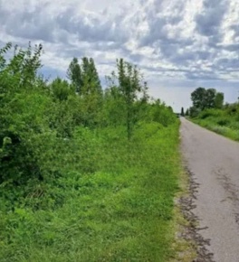 Foto Terreno agricolo in Località Pordenone, Pordenone di 14335 m²