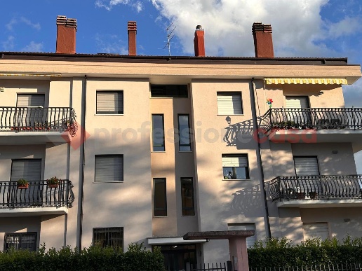 immagine annuncio 3 di 6