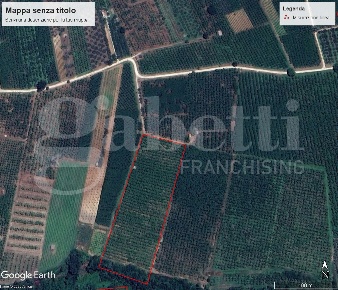 Foto Terreno agricolo in LocalitÃ  Fratta snc, Corchiano di 23300 m²