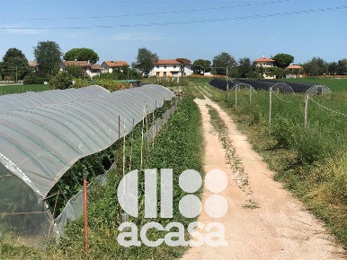 Foto Terreno agricolo a Cesenatico Villamarina Monte di 11806 m² in vendita