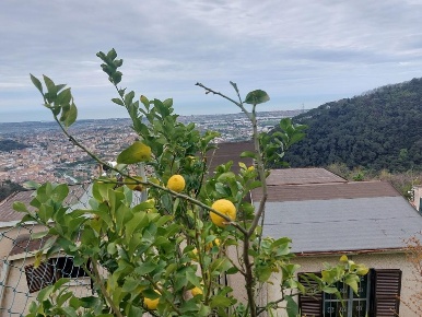 Foto Casa indipendente a Massa Bergiola - Lavacchio di 140 m² con 6 locali