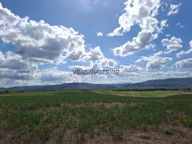 Foto Terreno agricolo a Sovicille in vendita