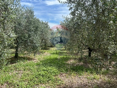 Foto Terreno agricolo in Via Fontanelle, Calvagese della Riviera Centro