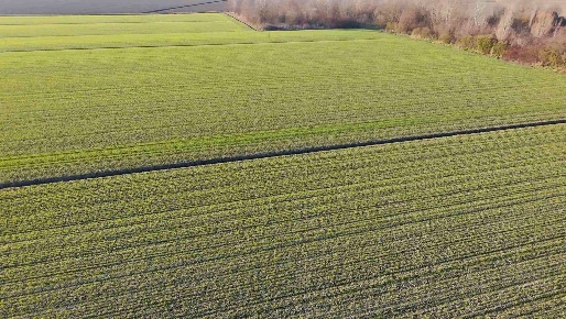 Foto Terreno agricolo in Via Acquedotto, Ferrara Francolino di 23273 m²