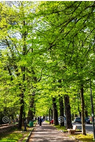 Foto Appartamento in VIA PARIGI, Pisa Le Piagge di 107 m² con 4 locali