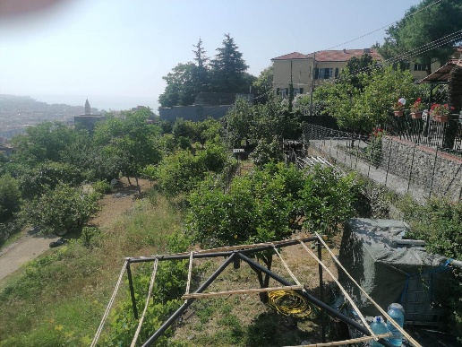 immagine annuncio 3 di 14