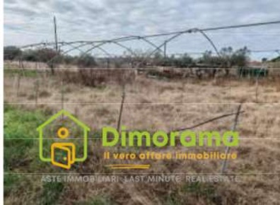 Foto Terreno agricolo in località Pizzicagno, Viterbo di 30660 m²