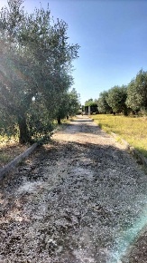 Foto Casa indipendente in Via I° Stradone Muti, Genzano di Roma di 102 m²