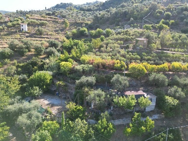 Foto Terreno agricolo in via provinciale 44, San Biagio della Cima