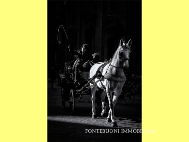 Foto Locale commerciale in PIAZZA REPUBBLICA, Firenze di 370 m² in affitto