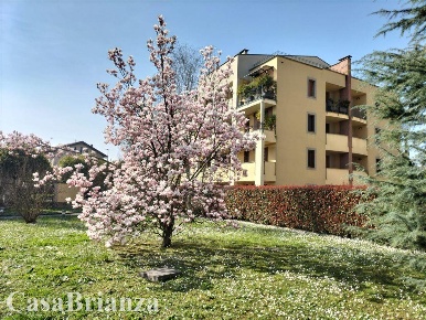 Foto Appartamento a Biassono Centro di 80 m² con 2 locali in affitto