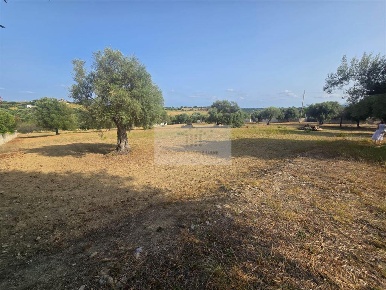 Foto Terreno agricolo in TRAVERSA VALLONE CARANCINO, Siracusa di 8000 m²