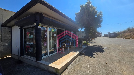 Foto Attività commerciale in Via Damiano, Ardea Castagnetta - Strampelli