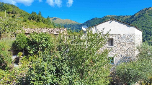 Foto Appartamento in Via Praelo, Montalto Carpasio di 190 m² con 12 locali