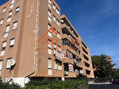 Foto Appartamento in via bargagna, Pisa Cisanello - San Biagio di 35 m²
