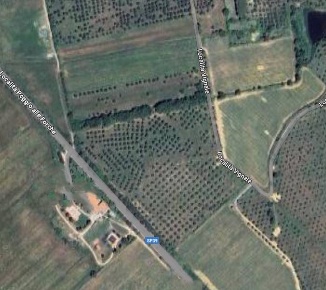 Foto Terreno agricolo in Località Vignale, Piombino in vendita