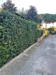 Foto Appartamento a Follonica San Luigi, Capannino, Corti Nuove di 71 m²