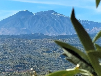 Foto Terreno agricolo in Via del Pomiere, Linguaglossa di 2000 m²