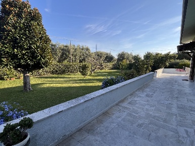 Foto Villa unifamiliare a Seravezza Ripa Pozzi Querceta Ponterosso