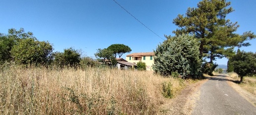 Foto Cessione attività a Campagnatico di 600 m² con 10 locali in vendita
