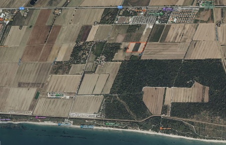 Foto Terreno agricolo a Piombino di 25000 m² in vendita
