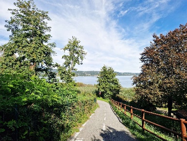 Foto Villa bifamiliare in Via Isola Virginia, Biandronno Centro di 321 m²