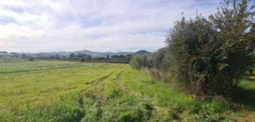 Foto Terreno agricolo in via delle Croci, Empoli Ponte a Elsa - Brusciana