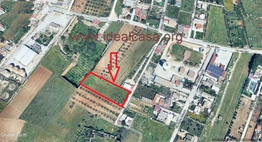 Foto Terreno agricolo a Mazara del Vallo Tonnarella di 3000 m² in vendita