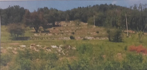 Foto Terreno agricolo a Cenate Sopra Casco di 19120 m² in vendita