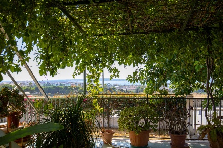 Foto Villa unifamiliare in Viale Giulio Emanuele Rizzo 2, Siracusa