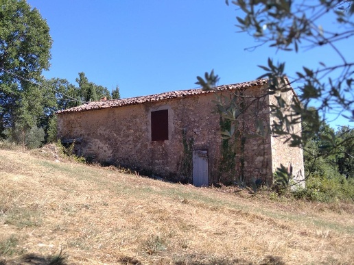 immagine annuncio 3 di 14